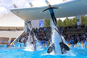 鴨川シーワールドの入園券付き「鴨川シーワールドホテル」