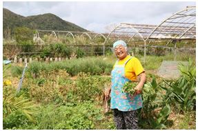 「まるたか農園」高西 タマ子さん