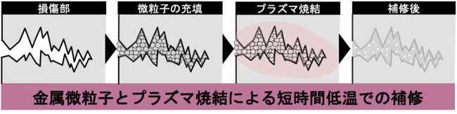 本研究の実験イメージ