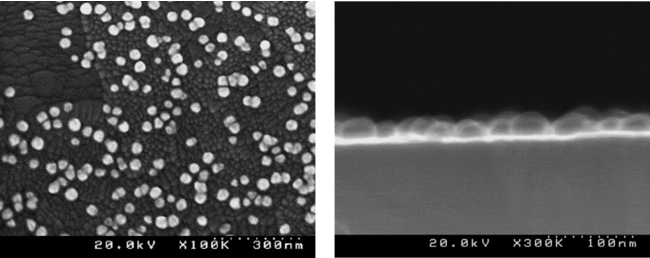 島状金ナノ粒子を固定したITO電極の走査電子顕微鏡画像　（左：表面、右：断面）