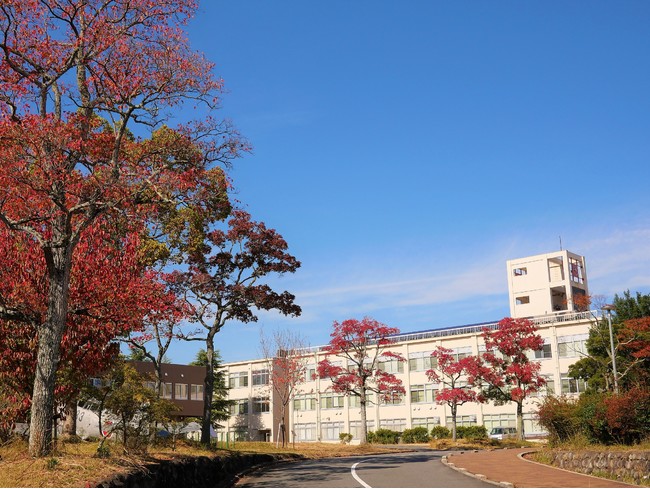 正門から本館へのアプローチ