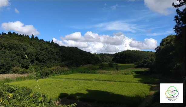 椿ファームの千葉県印旛郡酒々井町の里山バンク