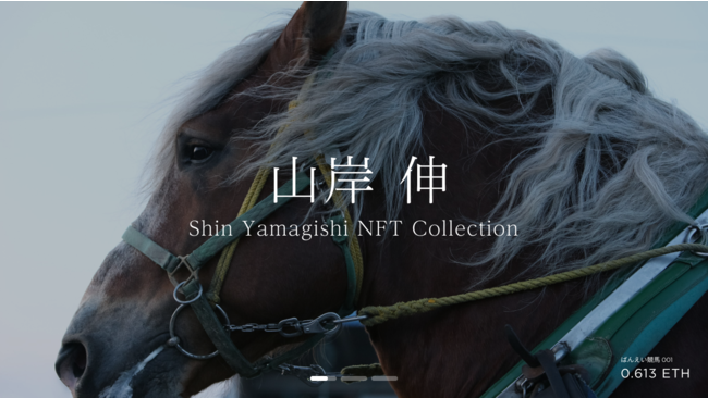 Shin Yamagishi NFT Collection