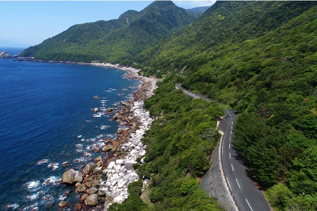 屋久島西部林道（世界遺産区域）