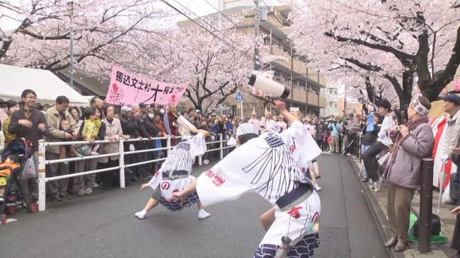 中継予定場所「飛鳥山公園」と「馬込文士村大桜まつり」（過去の様子）