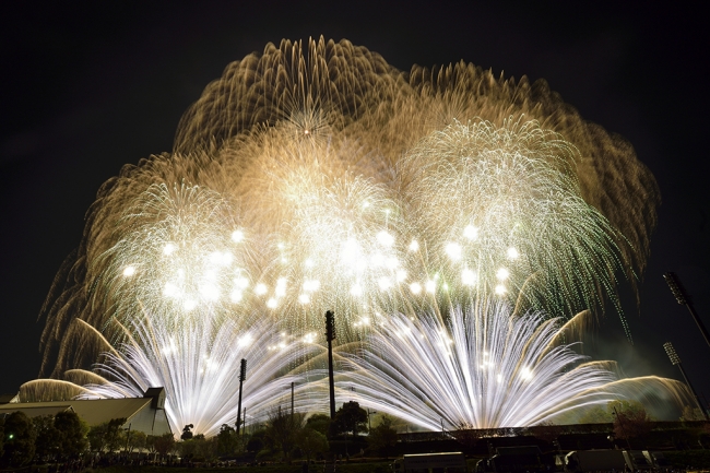 写真提供：伊勢原市広報カメラマン　福田伸さん