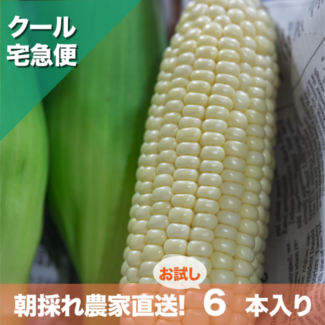 沖縄県内　お試し用6本入：¥ 4,180