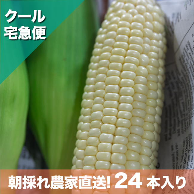 沖縄県外　☆24本入り：¥ 15,190