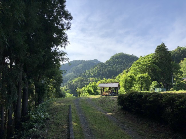 かつて炭焼きで栄えた五日市の裏山を散策