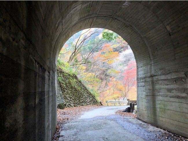 トンネルを抜けるとそこは・・・！？