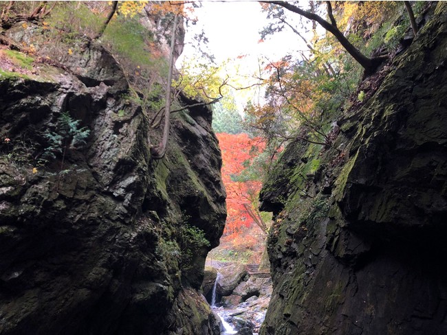 ここは神様の通り道。紅葉の時期は圧巻です