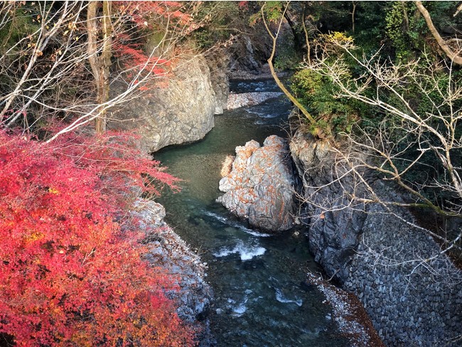 檜原村の橋からの風景！