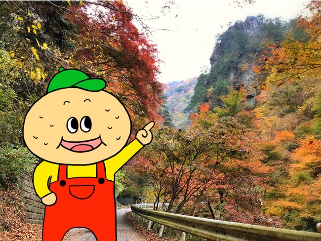 ひのじゃがくんと一緒に紅葉のパワースポットへ！