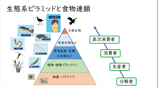 ▲当日使用されたマリンワールド海の中道によるスライド