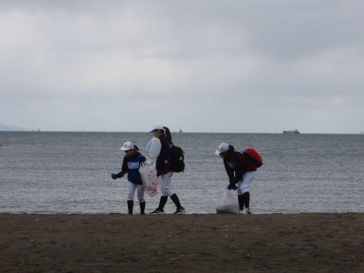 浜辺でごみを拾うチーム