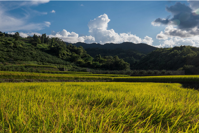 佐那河内村の風景