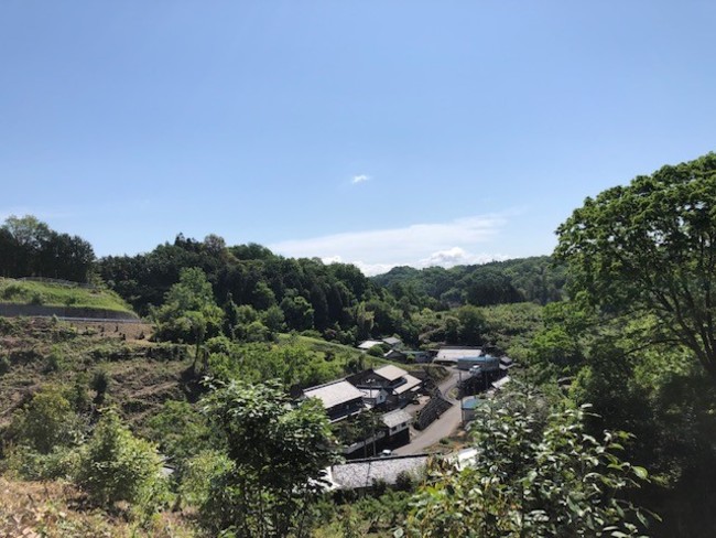 現在の里山の風景