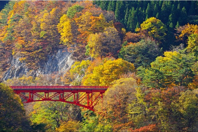 紅葉100選に選ばれた渓谷の紅葉