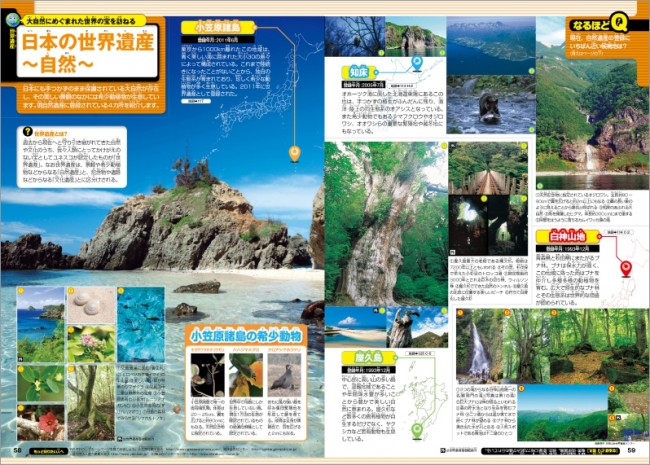 代表誌面5（日本）