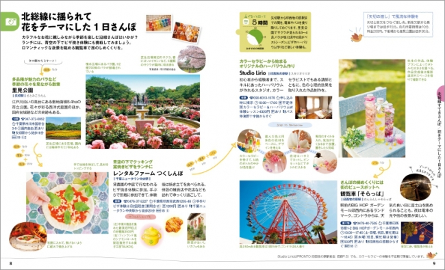 代表誌面