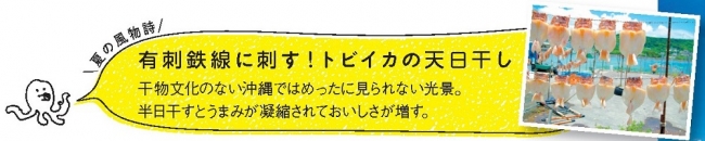 Re沖縄にて、イカの説明をするタコ型特派員