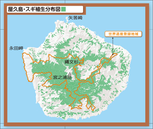 ＜屋久島の植生図＞