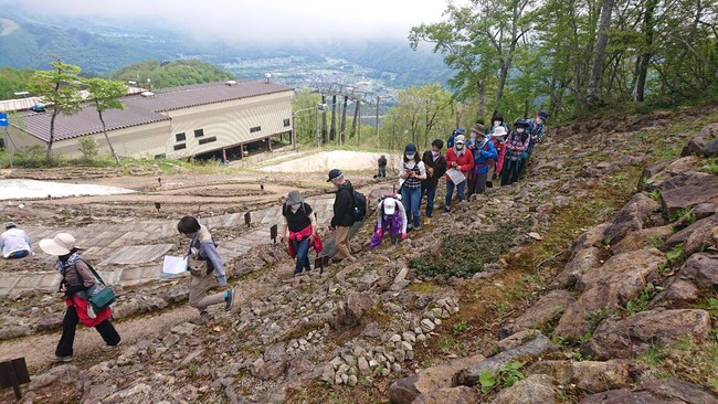 早期開園限定、学芸員とまわる雪解け直後の高山植物園散策ツアー　6月5日(土)