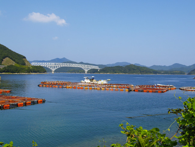 西海国立公園に指定されている若松瀬戸