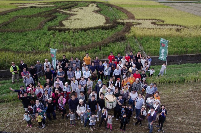 はちぷろ稲刈り　八王子市制100周年田んぼアート