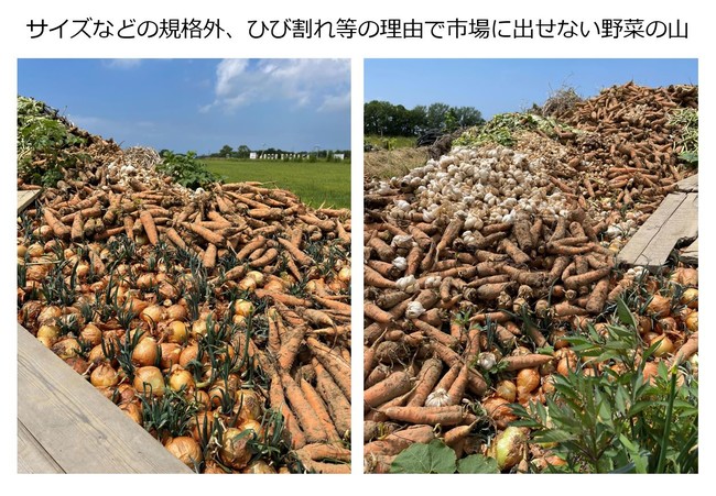 規格外野菜の山