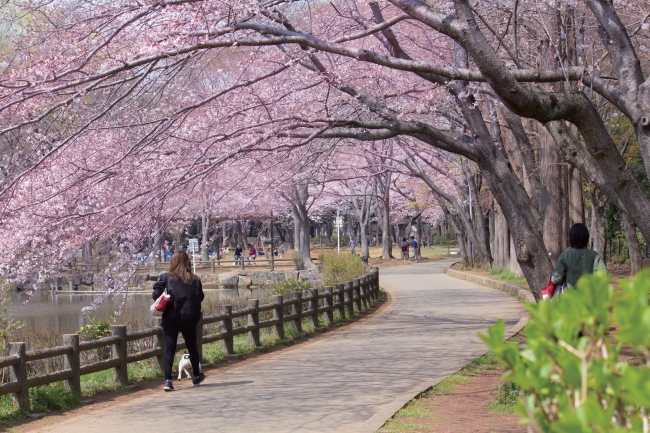 貝柄山公園