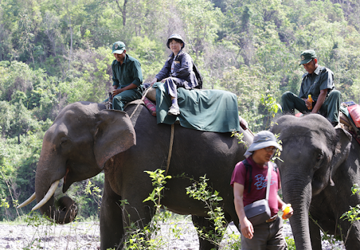 岡安の現地での、ゾウパトロールの様子© DoFPS Bhutan  WWF Bhutan