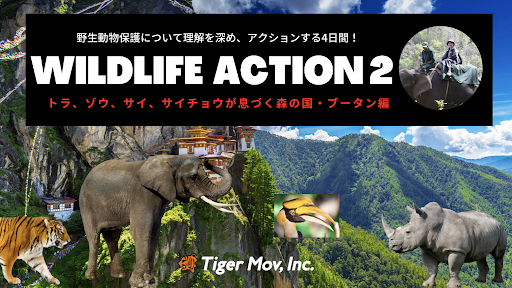 WILDLIFE ACTION２