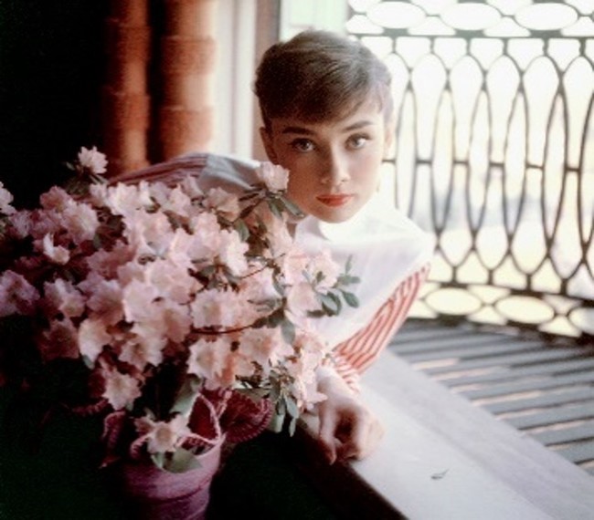 ハリウッド近くのホテルにて 1953 ©Bob Willoughby  mptvimages.com