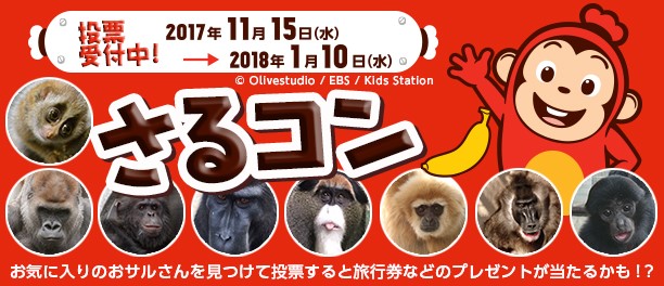 ココモンが「さるコン」 に登場！