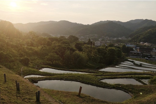 神奈川県葉山町 上山口の棚田