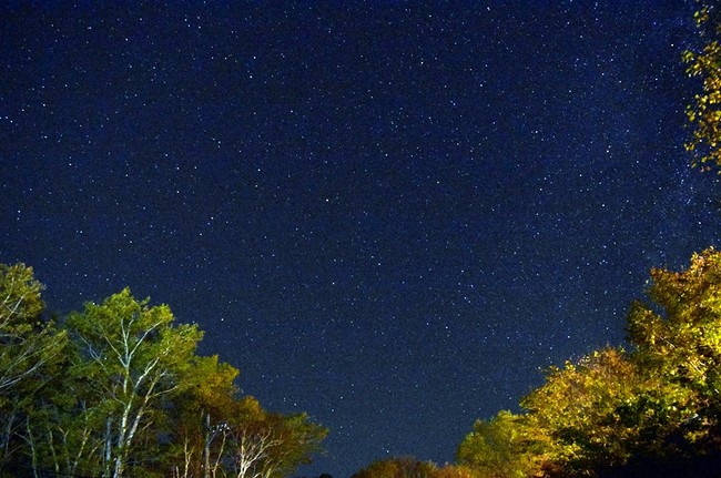 冬の夜空には満天の星