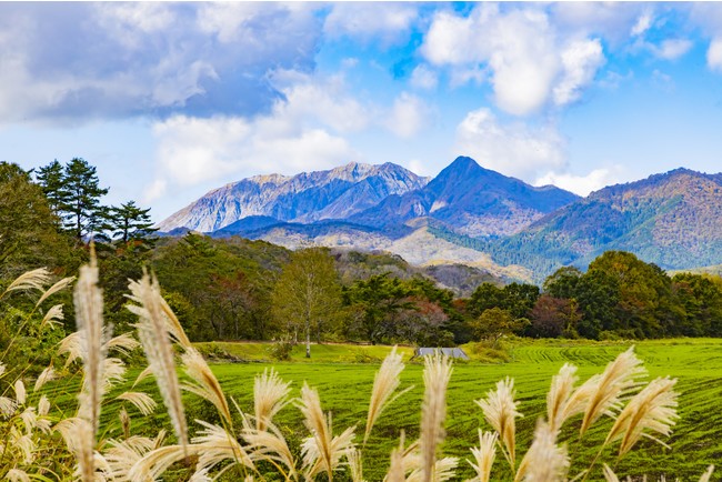 遠くには大山をみることもできる