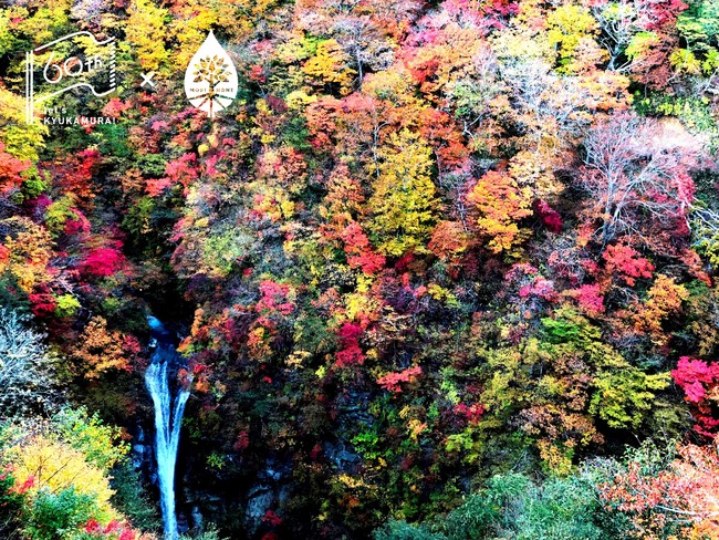 紅葉の「駒止の滝」