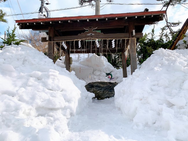 積雪の様子