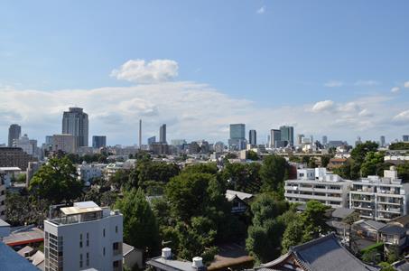 コモンテラスからの眺め