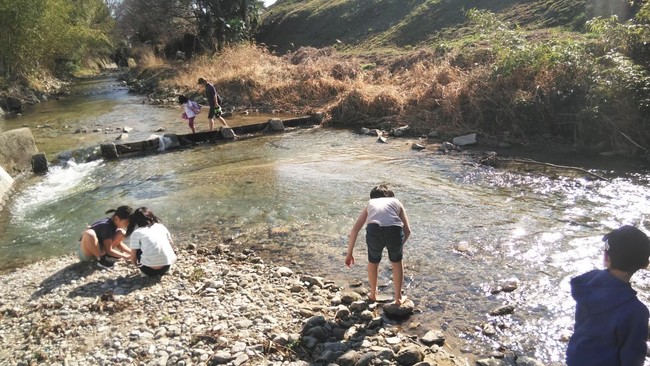 近くで川遊び