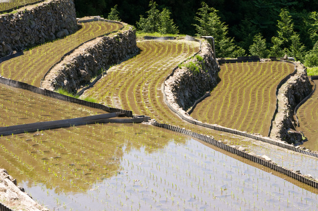 島根県　吉賀町