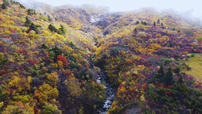 紅葉の成瀬川