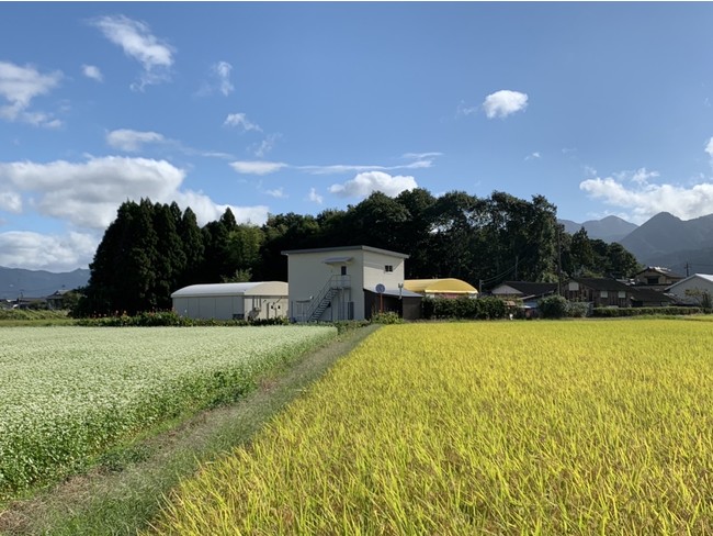 花咲たもぎ茸・生産施設