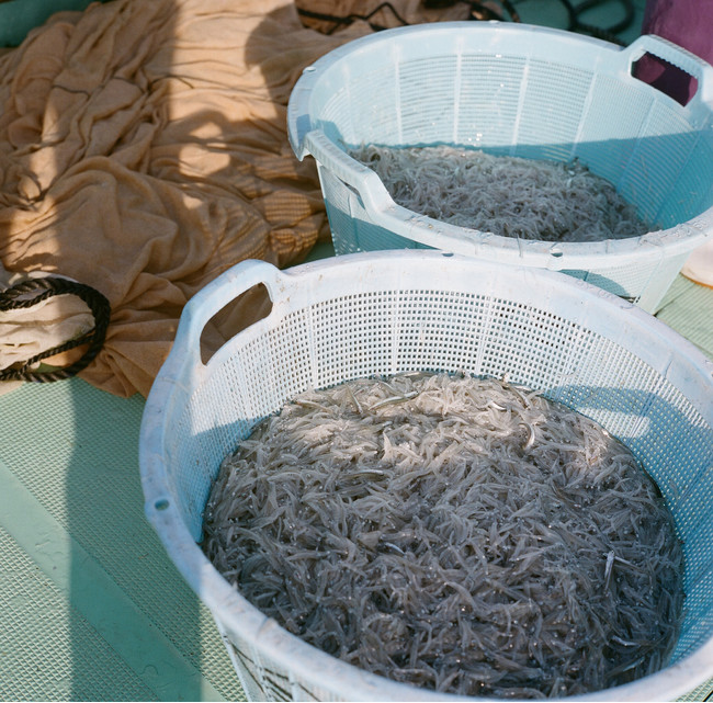 鮮度にこだわりすぐに海水で釜茹で。魚の味を存分に引き出します。