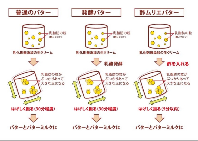 バターの製造過程