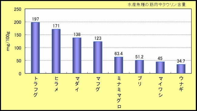 表１タウリン含量比較（自社調査データより）