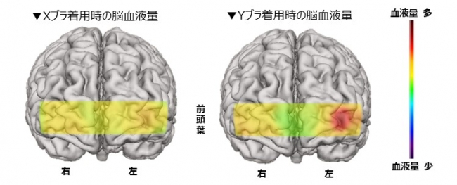 図1： 会話時の脳血液量 画像（被験者9名平均値）