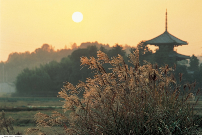 © 2020 Irie Taikichi Memorial Museum of Photography Nara City